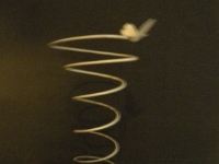 ascent from dust