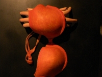 bra crab